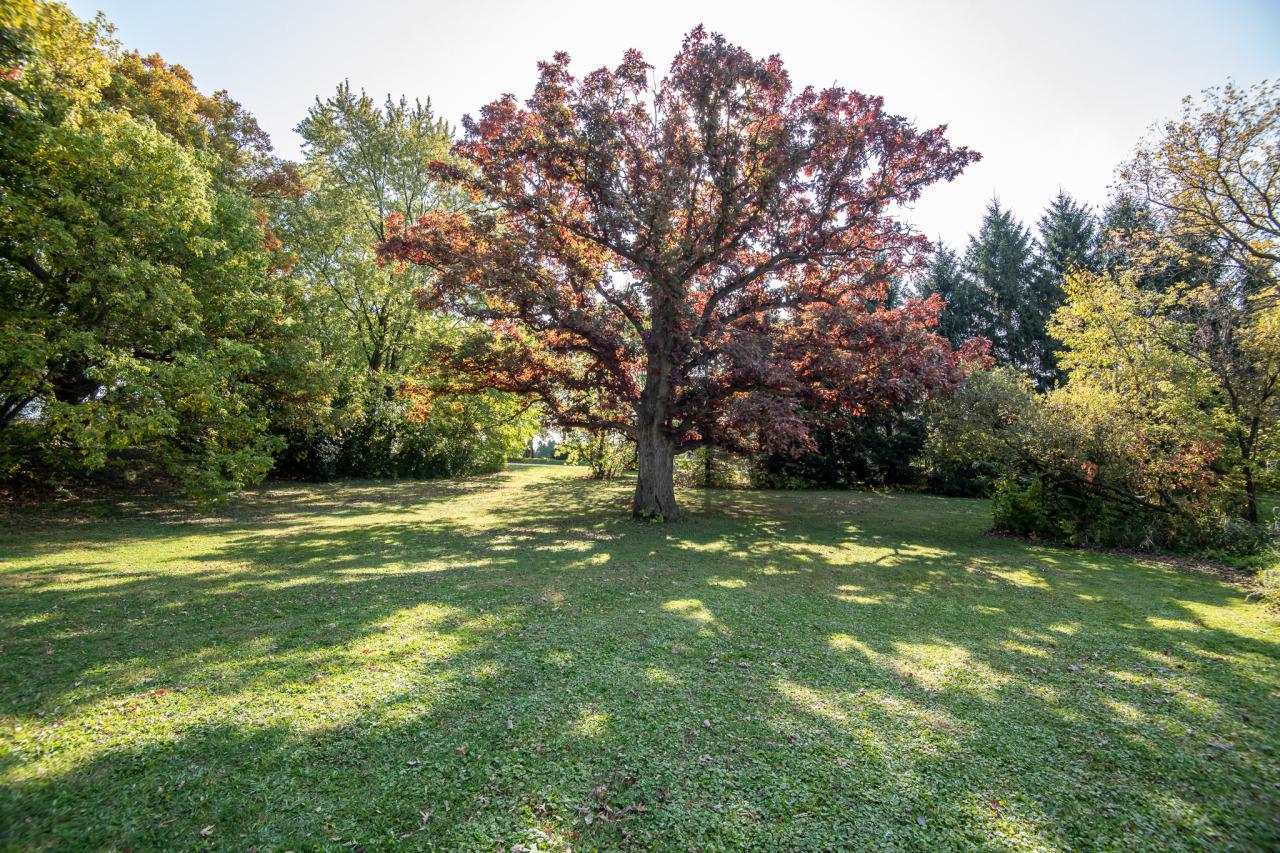 W247N6063 Pewaukee Rd., Lisbon, WI 53089