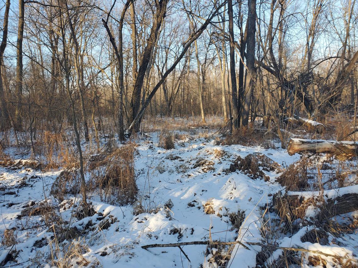 Hwy 35, Caledonia, WI 54625