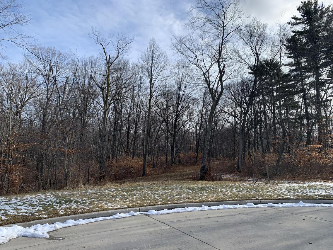 Lot 14 Eagle Ridge Ct., Manitowoc, WI 54220