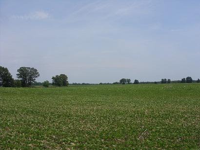 Lt1 Sterman Rd, Troy, WI 53120