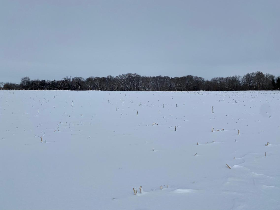 Lt3 Cedar Ln., Summit, WI 53066