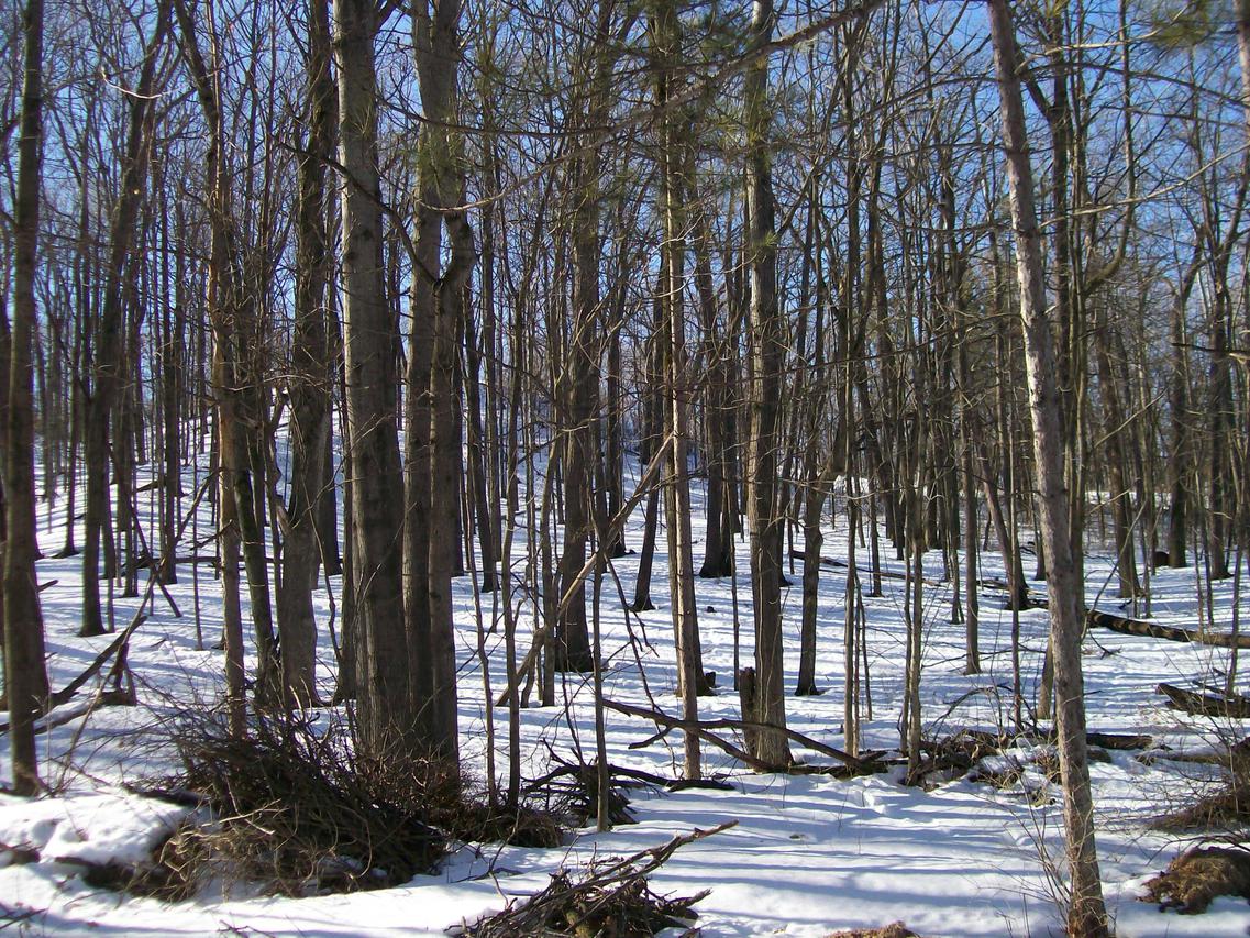 Lot 1 County Road C, Plymouth, WI 53073