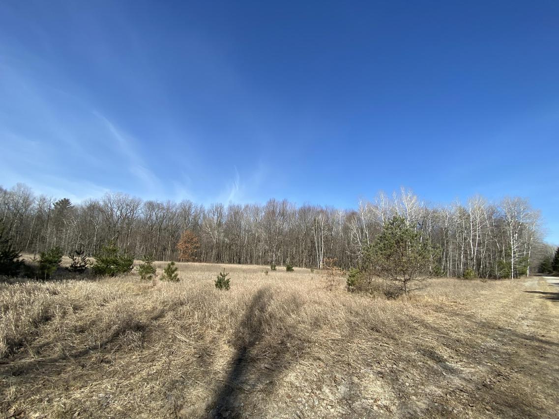 38 Acres Grasser Rd., Porterfield, WI 54143