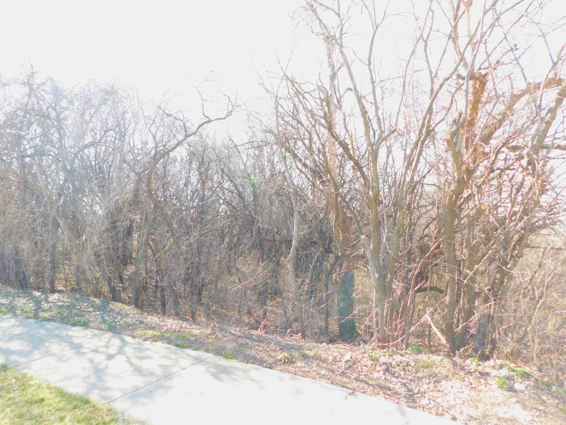 Lot 17 Woodfield  Cir., Waukesha, WI 53188