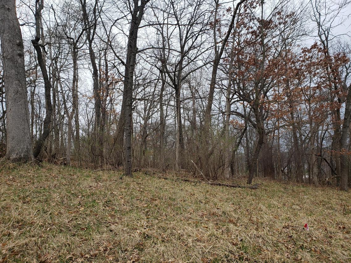Lt 2 Oak Rd., Geneva, WI 53147