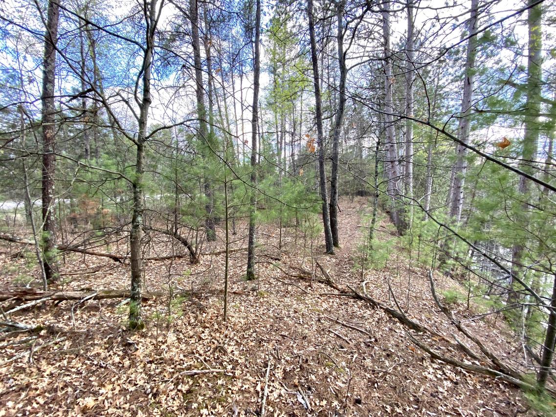 Lt0 Menominee Woods Dr, Wagner, WI 54177