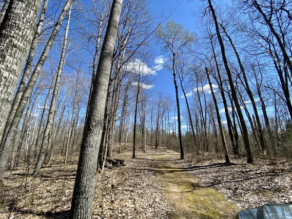 Homes Just Sold in Wagner: March 1st to March 7th