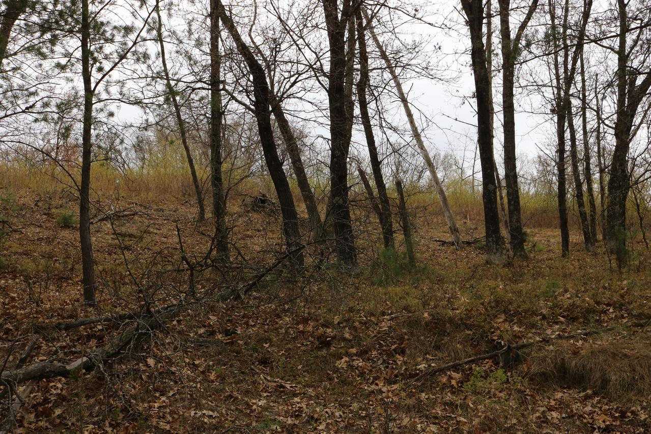 Lot 10 Jargon Ave, Wells, WI 54656