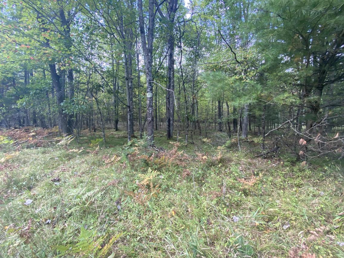 N11605 River Rd, Wausaukee, WI 54177