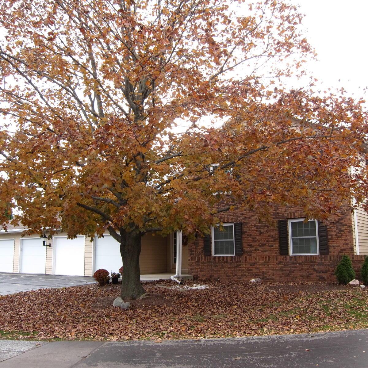 2437 Cross Creek #B, Sheboygan, WI 53081