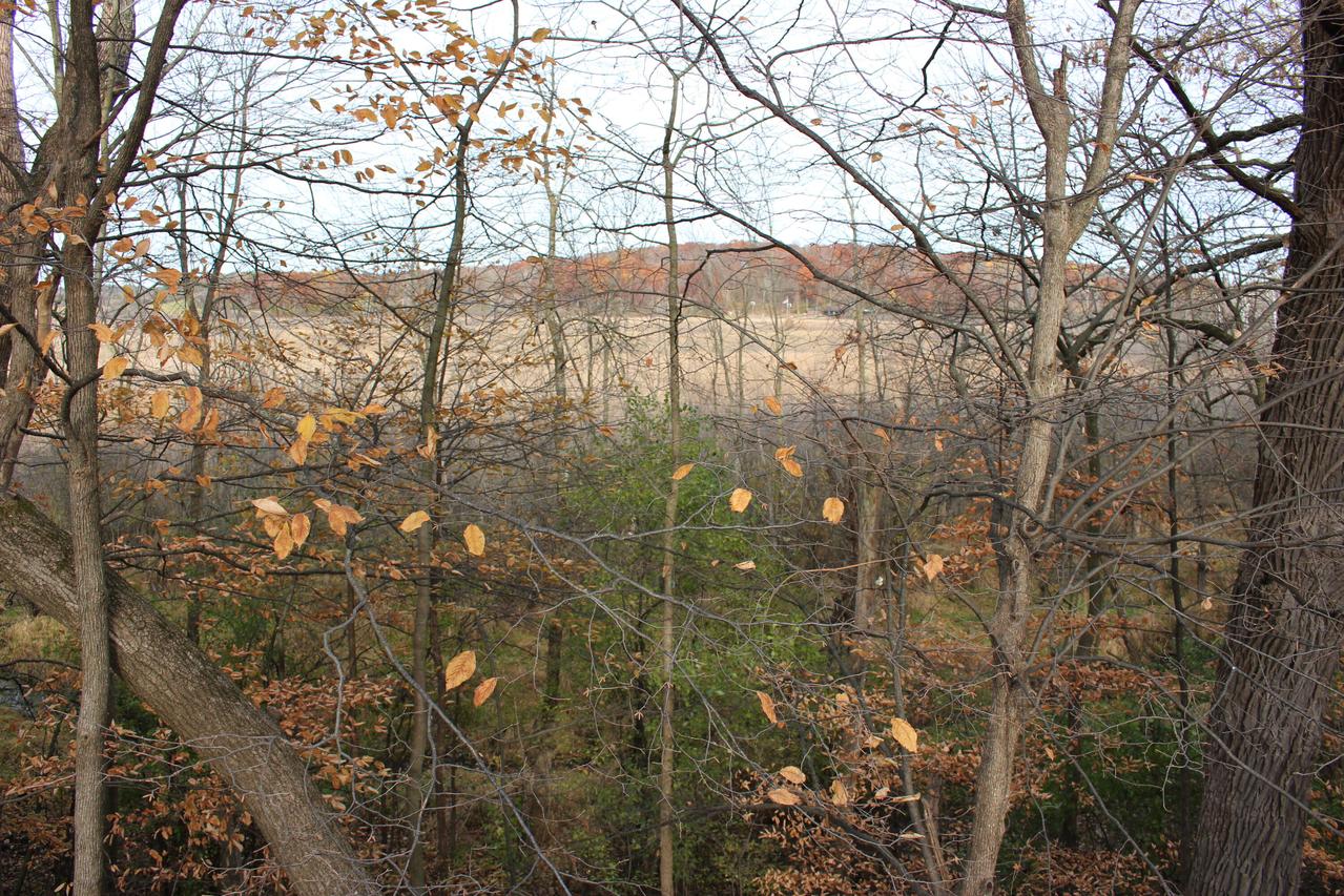 LtA Camp Whitcomb Rd, Merton, WI 53056