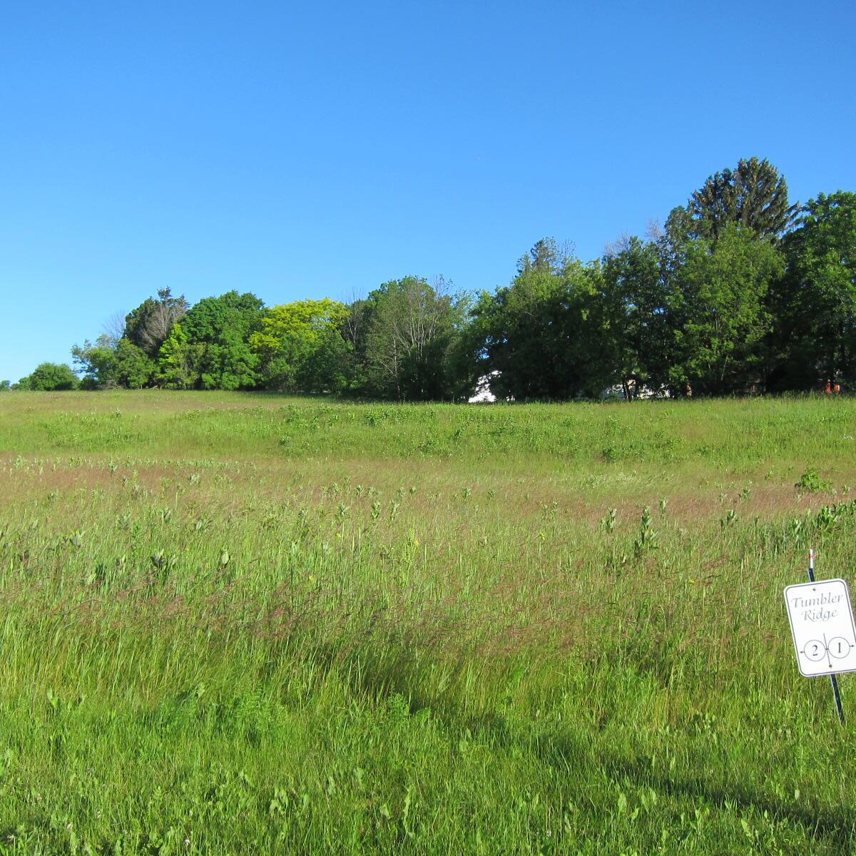 608 Meadow Ridge #Lt2, Plymouth, WI 53073