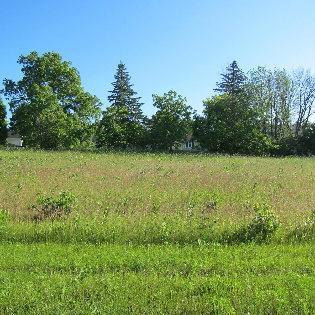 628 Ridge Pointe Dr #Lt3, Plymouth, WI 53073