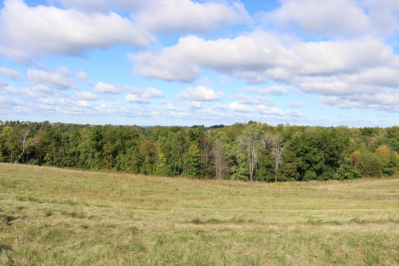 LOT 9 Willow Tr., Shelby, WI 54601