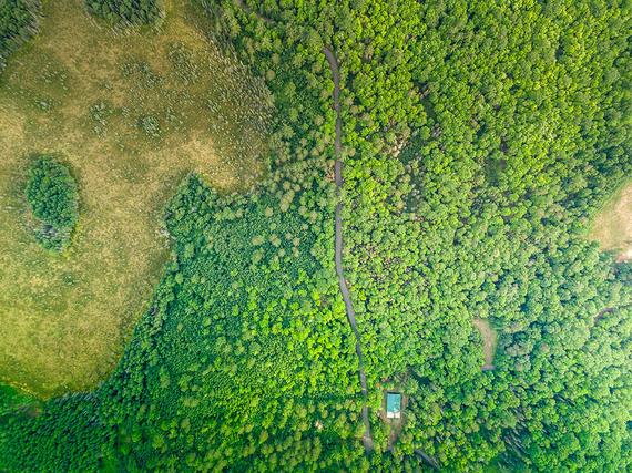 Homes Just Sold in Plum Lake: August 8th to August 14th