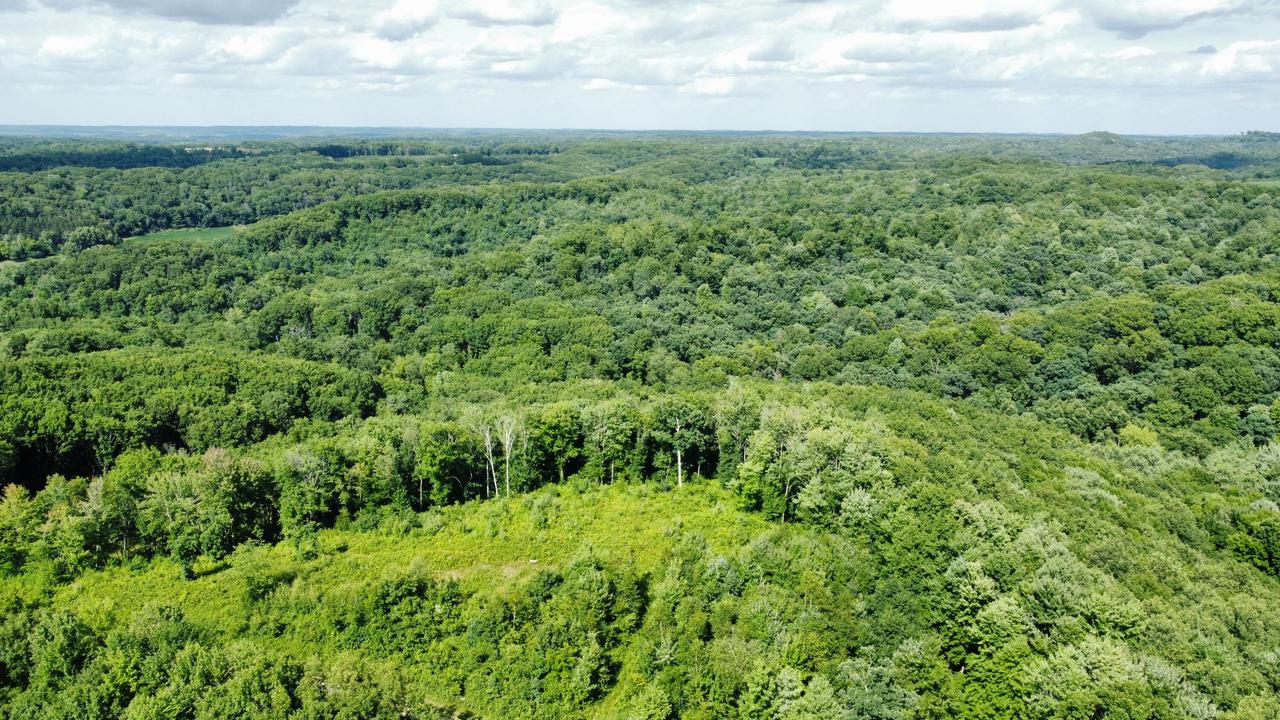 Fitch Coulee Rd, Pigeon, WI 54773