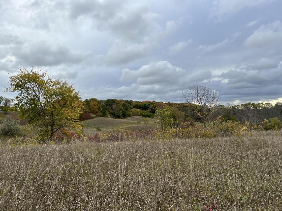 10319 Steinthal Rd, Schleswig, WI 53042