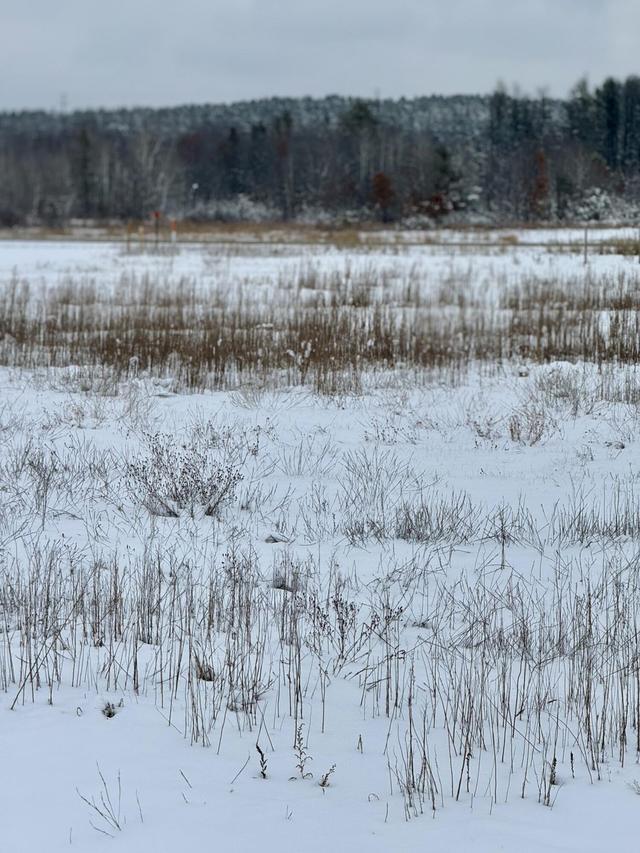 Lot 12 Impact Rd, Angelo, WI 54656