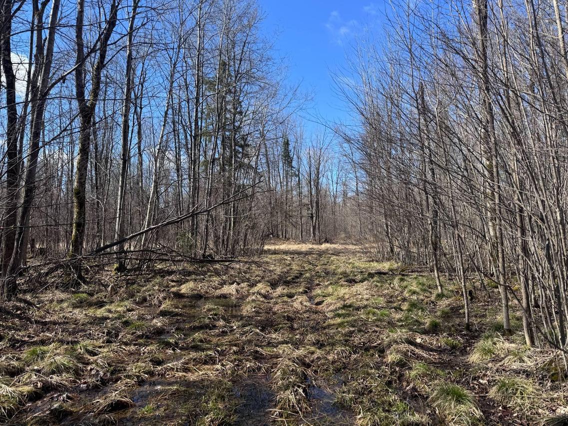 Lt1 Wood Creek, Rib Lake, WI 54470
