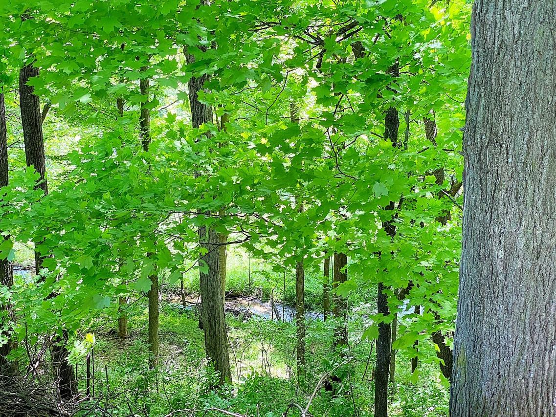 Lt2 Sylvan Dr, Manitowoc, WI 54220