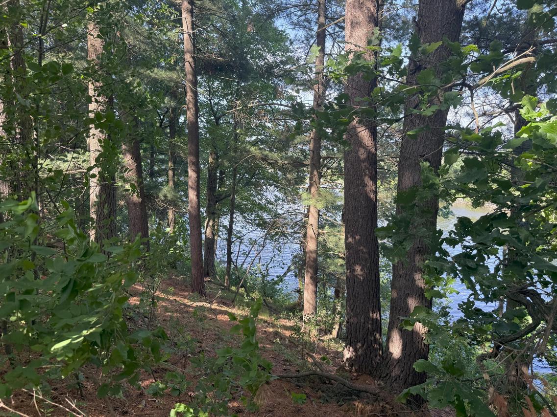 353 Twin Lakes, Rome, WI 54457
