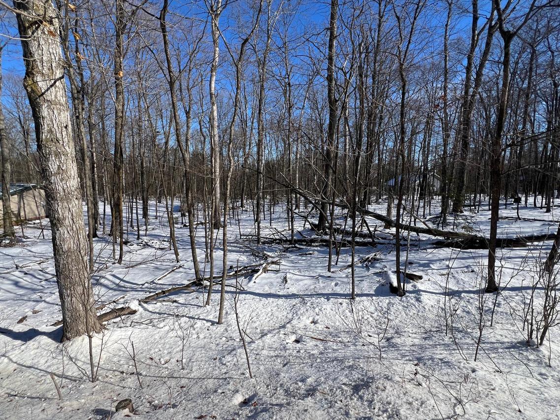 Lt1 N Cave Point, Jacksonport, WI 54235