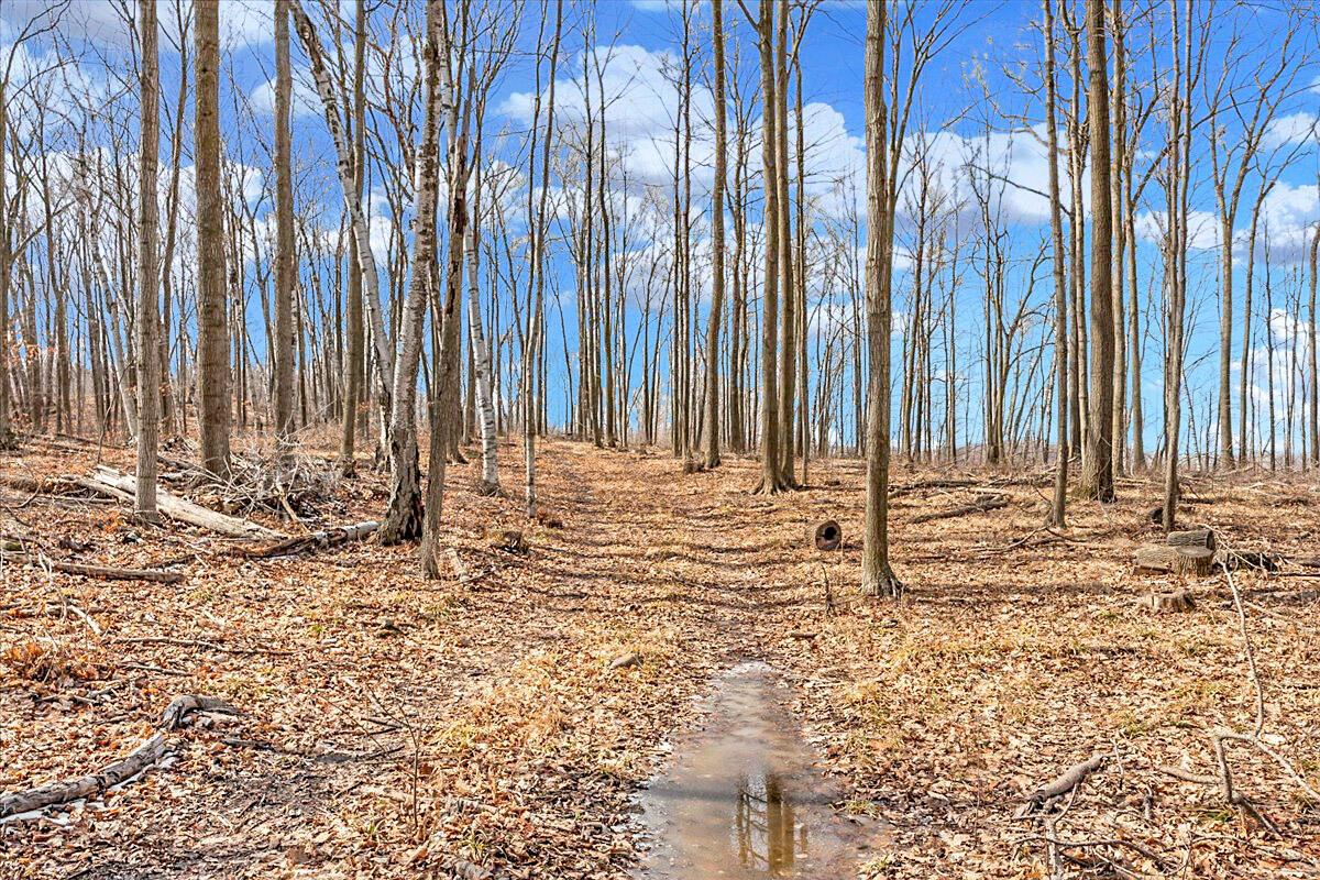 Lt0 Little Elkhart Lake, Rhine, WI 53020