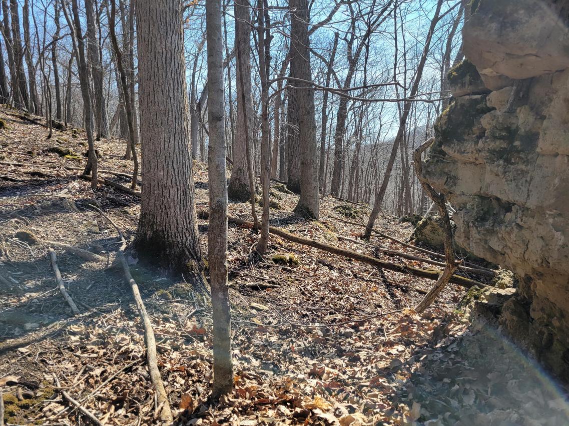 0000 Spring Coulee Rd, Coon, WI 54667