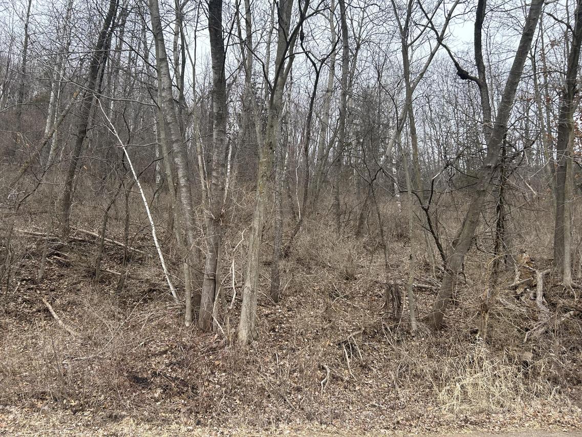 000 Smith Valley, Medary, WI 54601