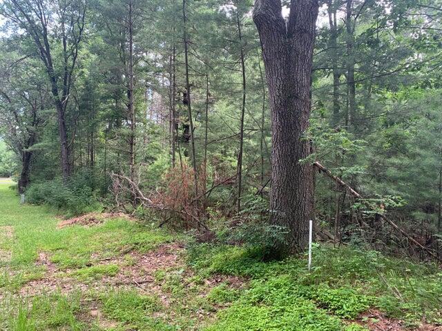 Lt20 3rd Ave, Westfield, WI 53964