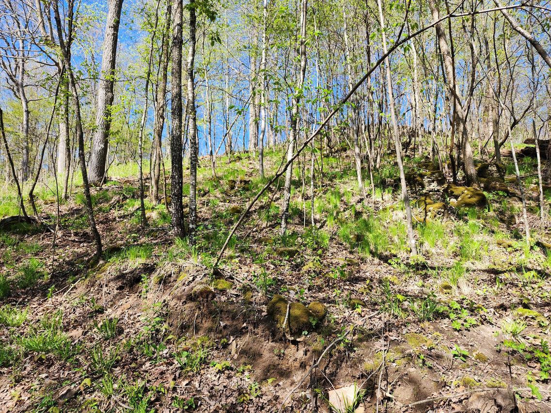 17.02 AC County Road P -, Wellington, WI 54651