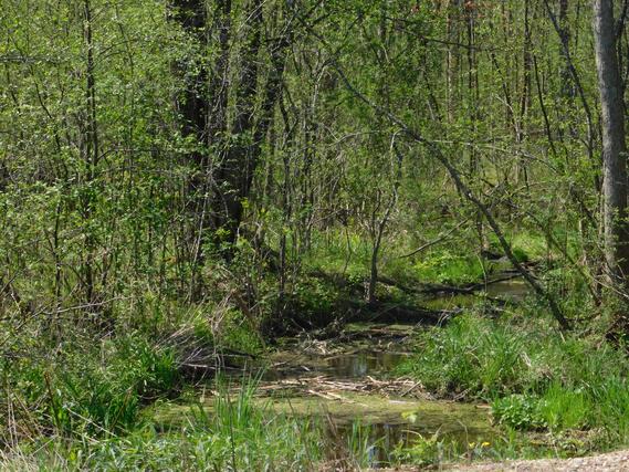New Homes For Sale This Week in Wittenberg: May 9th to May 15th