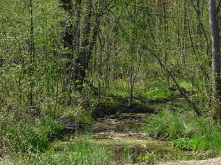 New Homes For Sale This Week That Attend Wittenberg-Birnamwood High School: May 9th to May 15th