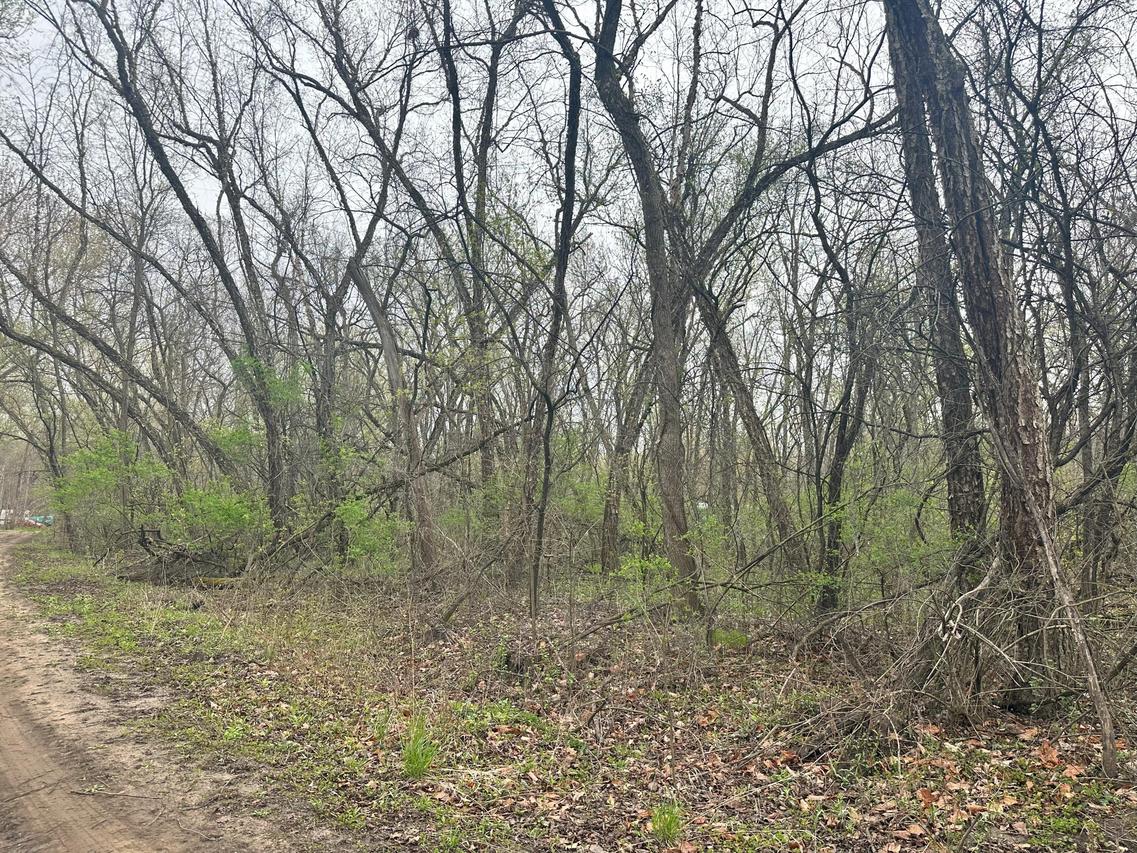 Lot 0 Catfish Dr, Trempealeau, WI 54661