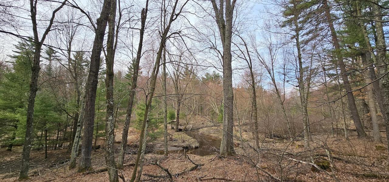 Elker Rd, Alma, WI 54746