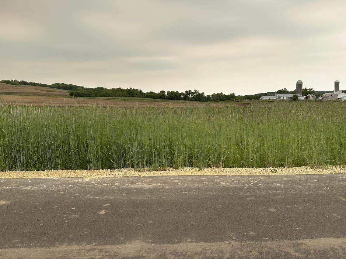 Lot 5 Twin Creeks Rd, Barre, WI 54601