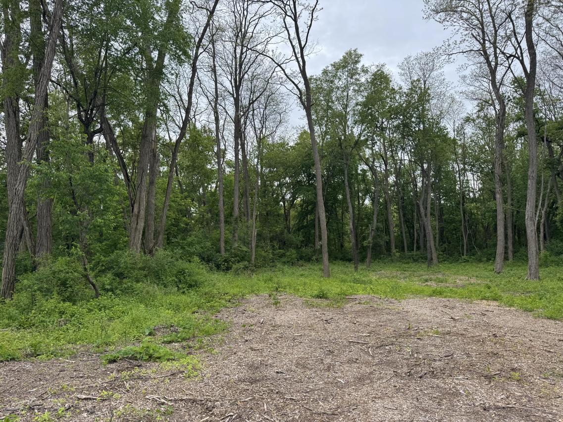 Lt1 Elizabeth Ln, Salem Lakes, WI 53170