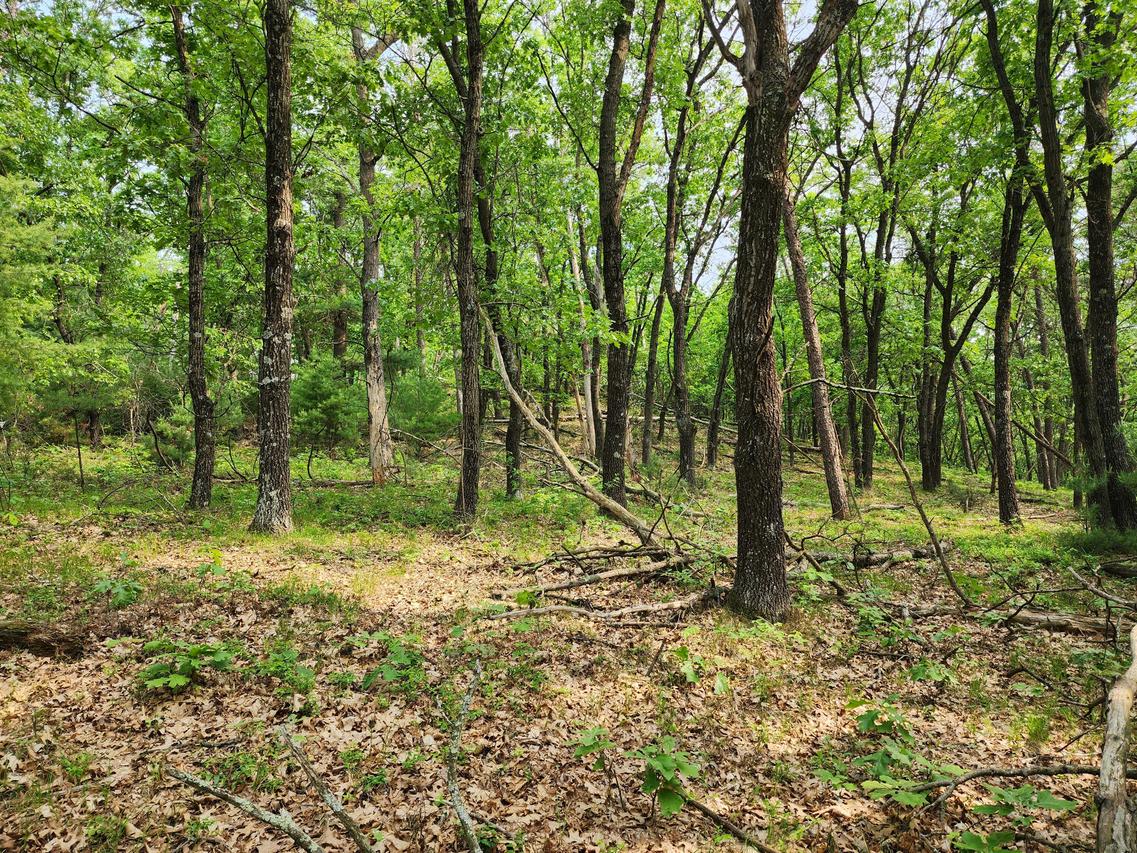 Lot 10 Jargon Ave, Wells, WI 54656