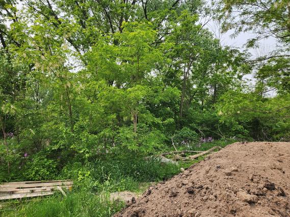 New Homes For Sale This Week in Jefferson: May 30th to June 5th