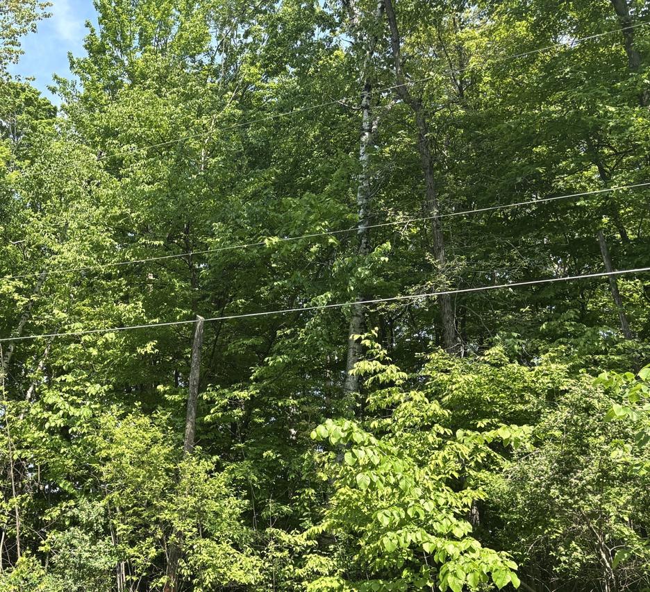 Lt0 Sunset Cir., Mosel, WI 53083