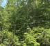 Homes Just Sold in Mosel: August 5th to August 11th