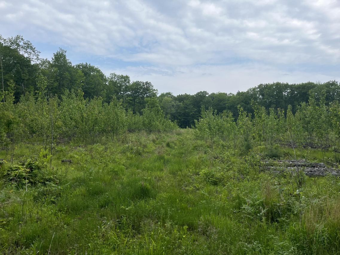 W6418 Barker Rd, Amberg, WI 54102