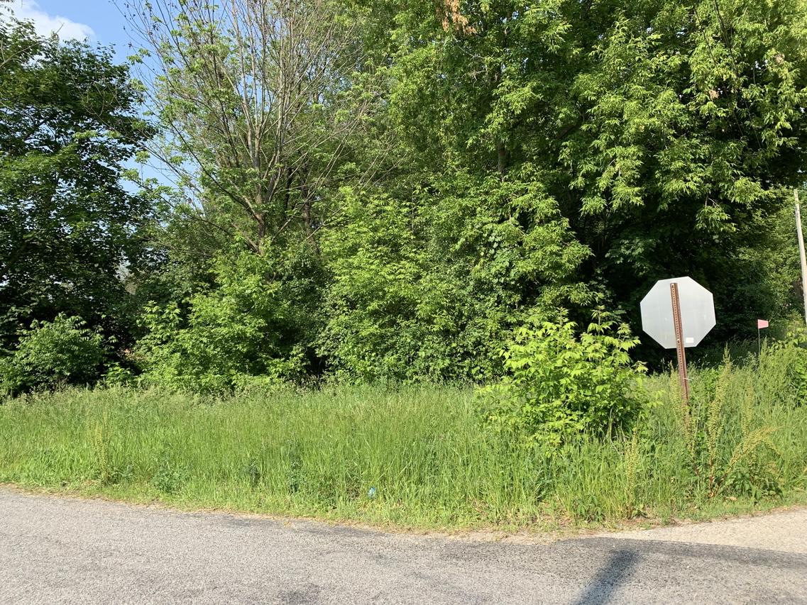 Lt1089 Cedar Rd, Bloomfield, WI 53128