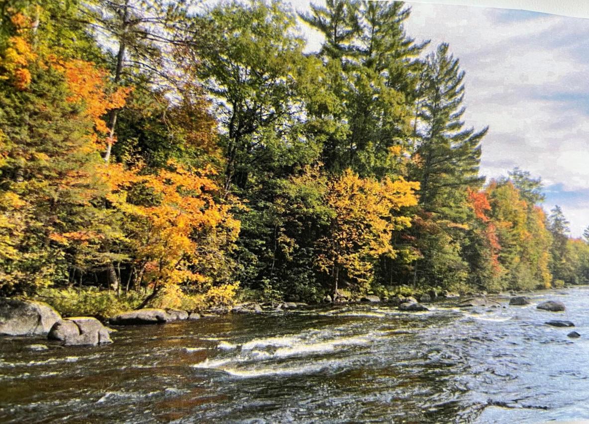 Lt4 Upper Roaring Rapids, Silver Cliff, WI 54104