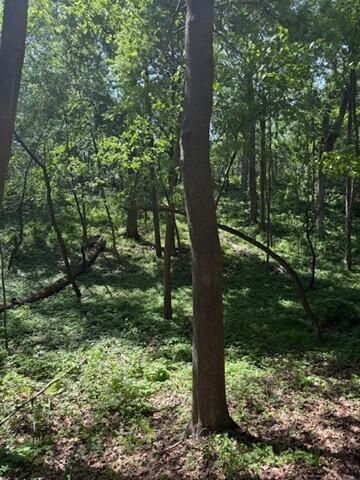 32683 W Pheasant Dr, Chenequa, WI 53058