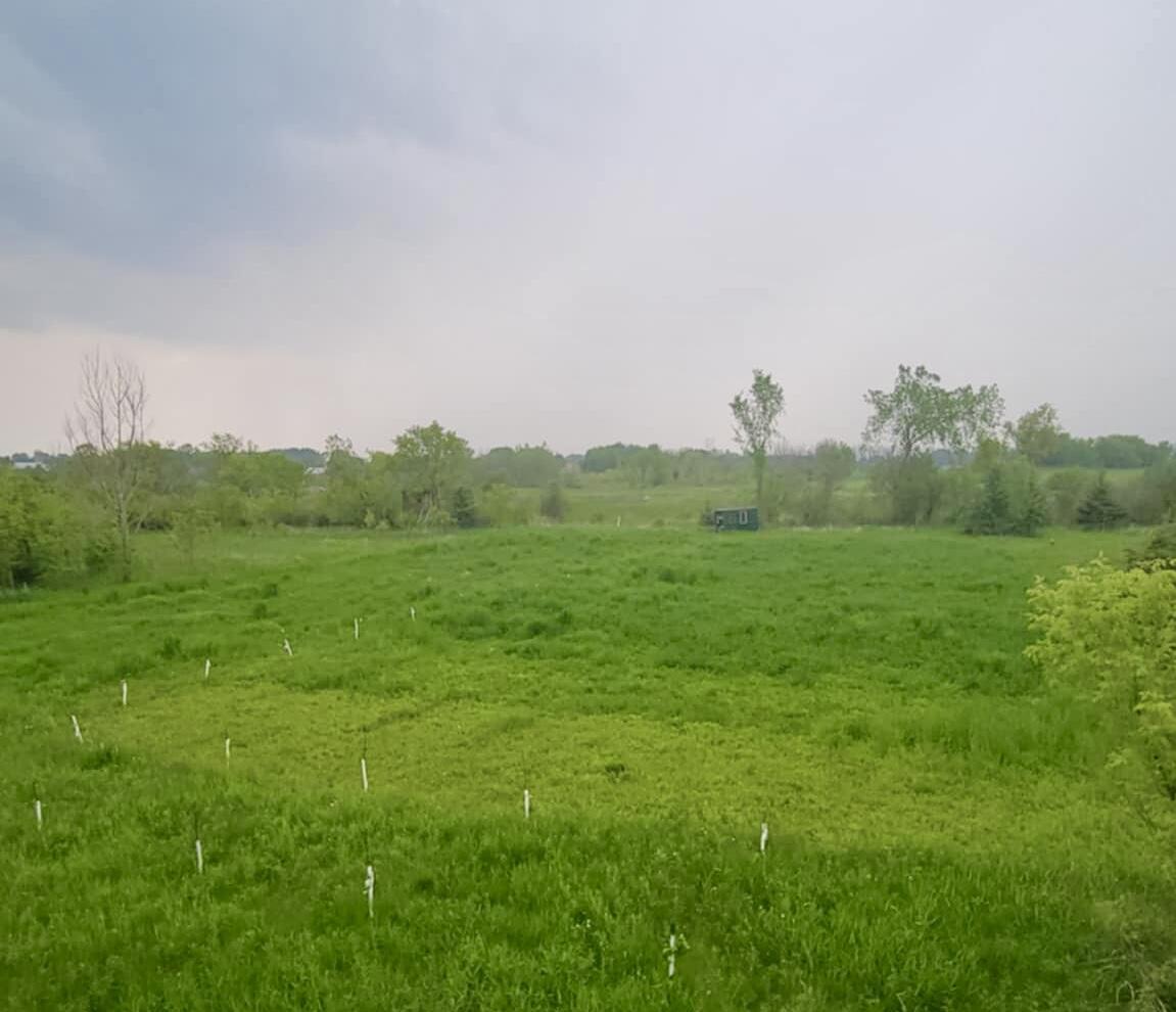 Lt1 Seven Corners, New Holstein, WI 53061