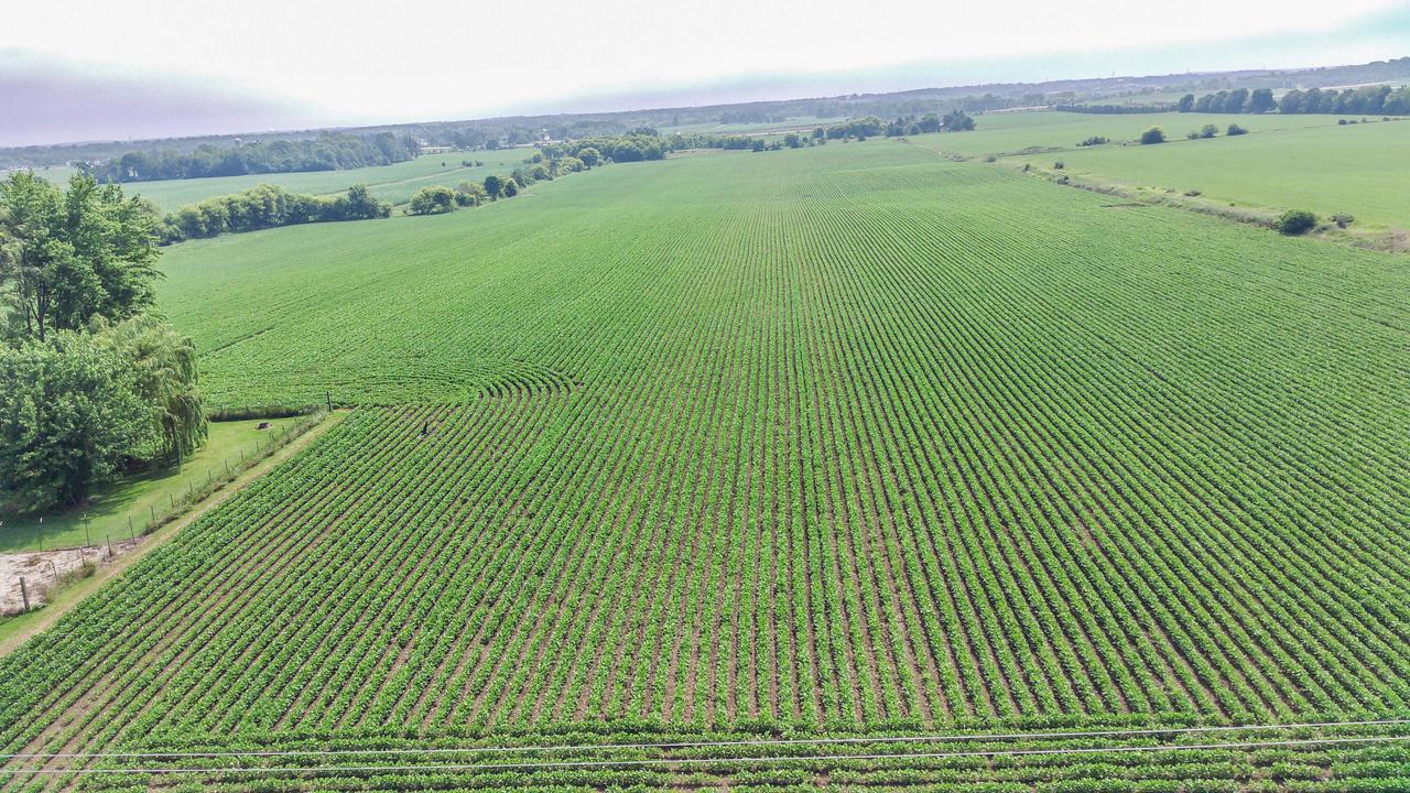 Lt1 Mayfield Rd, Polk, WI 53037