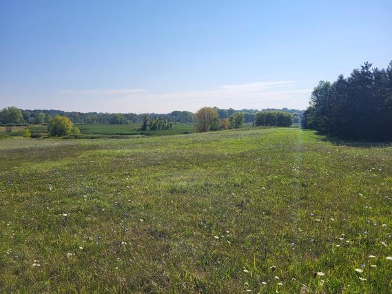 New Homes For Sale This Week That Attend Brookfield East High School: July 11th to July 17th