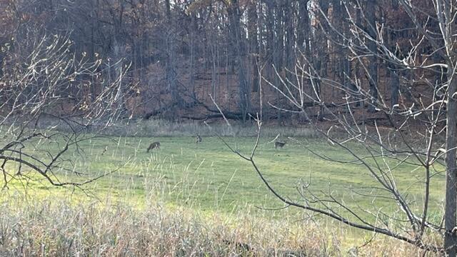 Lt2 S Clark St, Mayville, WI 53050