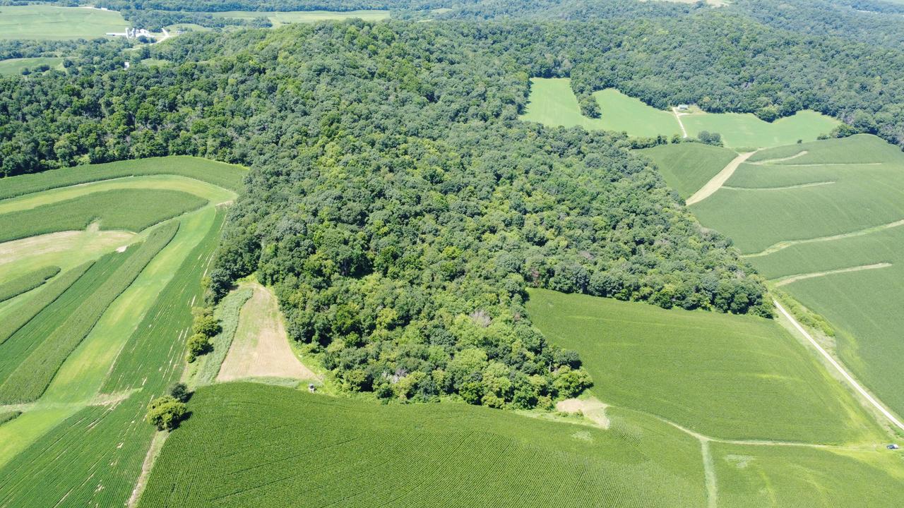 Theurer Ln, Glencoe, WI 54612